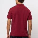 Alfred Polo