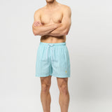 Briggs Swimshorts